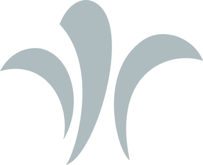 Niesmann logo